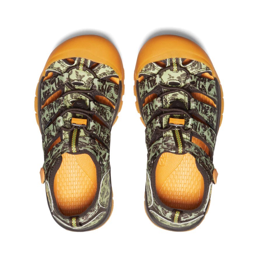 Big Kids' Newport H2 1027386 [ Gravityfree ] 